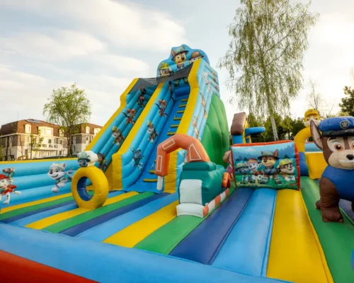 patrula 4