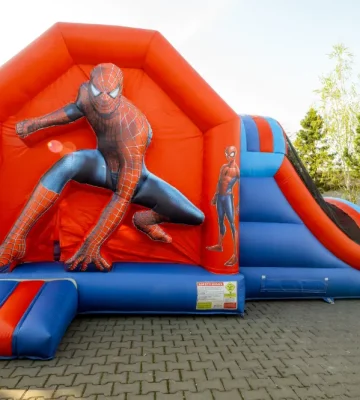 spider 5